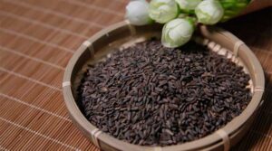 Ngưu bàng tử khô tốt cho sức khỏe