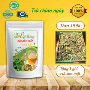 Trà chùm ngây túi lọc Việt Thắng