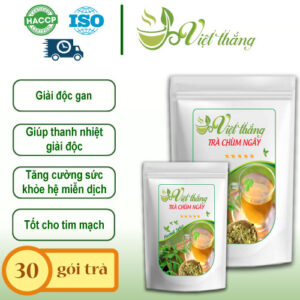Trà chùm ngây túi lọc Việt Thắng