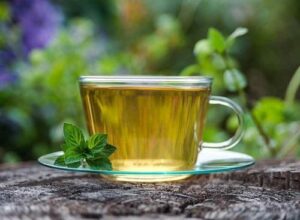 Cách sử dụng trà lá nam giúp giảm cân
