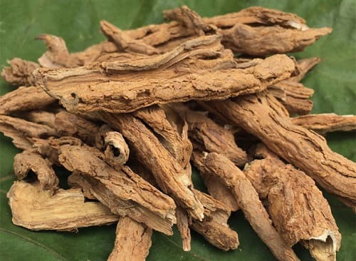 Địa cốt bì khô uy tín