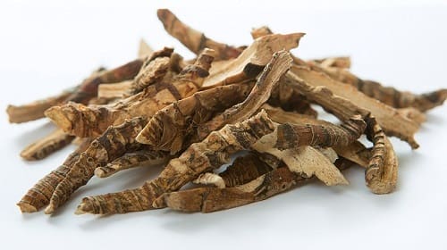 Địa cốt bì khô của Việt Thắng