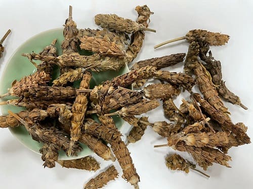 Hạ khô thảo sấy của Việt Thắng