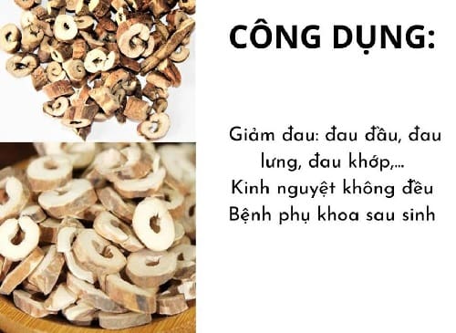 Công dụng chữa bệnh từ mẫu đơn bì khô