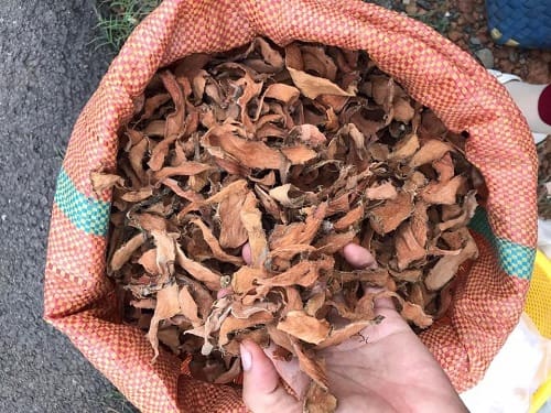 Mướp gai khô hàng chất lượng
