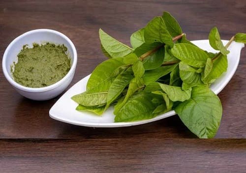 Bột lá ổi nguyên chất
