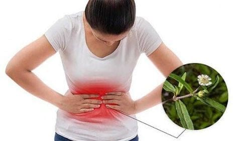 Chữa rong kinh từ bột nhọ nồi