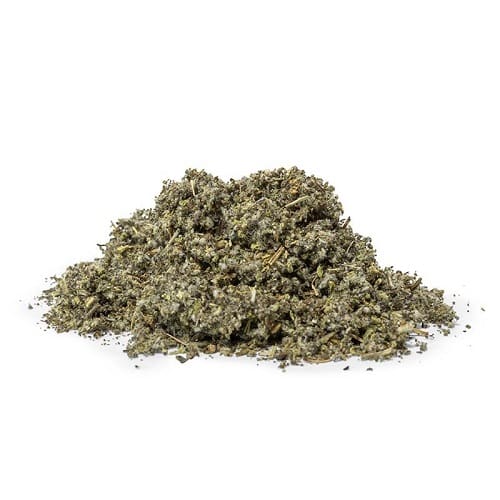 Bột mắc cỡ ( xấu hổ )