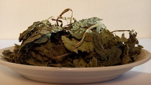 Mã đề khô