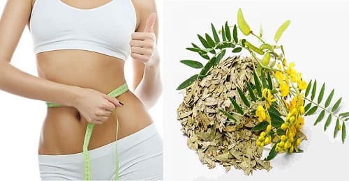 Lợi ích chăm sóc sức khỏe có trong phan tả diệp