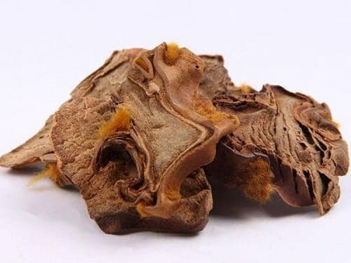 Cẩu tích sấy khô cải thiện sinh lý
