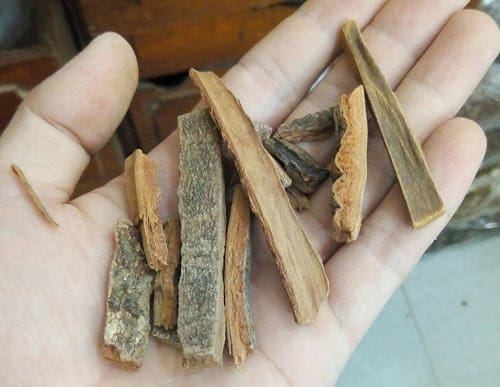 Hậu phác sấy khô