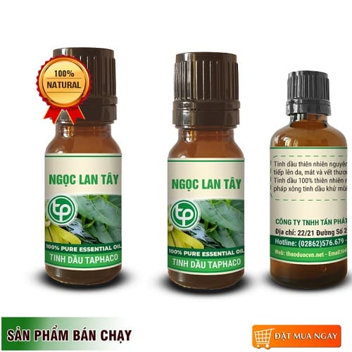 Tinh dầu thiên nhiên của Việt Thắng