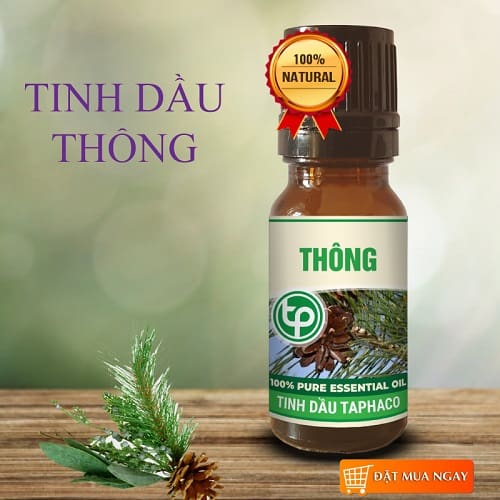 Tinh dầu thông nguyên chất tại TP.HCM