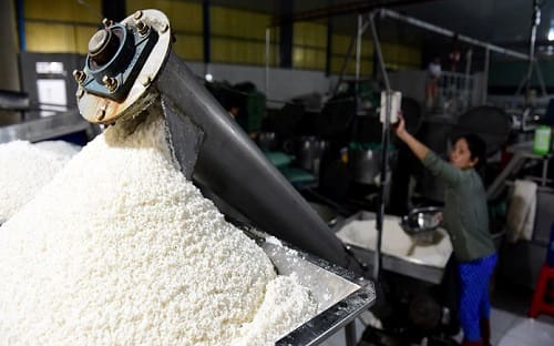 Sản xuất bột sầu riêng thủ công của Việt Thắng