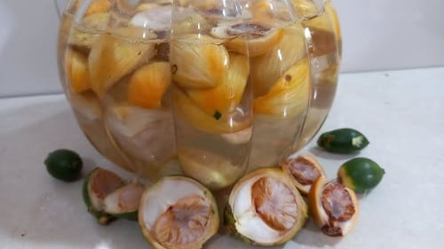 Nước từ hạt cau