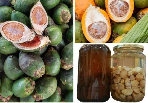 Cải thiện đau dạ dày từ hạt cau nguyên chất