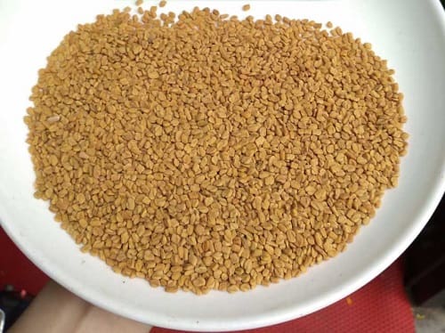 Hạt methi nguyên chất được bán tại Việt Thắng