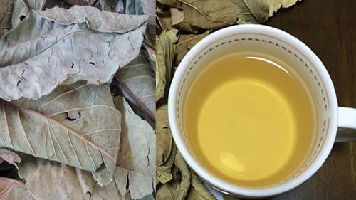 Xông hơi mặt từ lá ổi khô