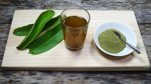 Lá ổi và bột lá ổi nguyên chất từ Việt Thắng TP.HCM