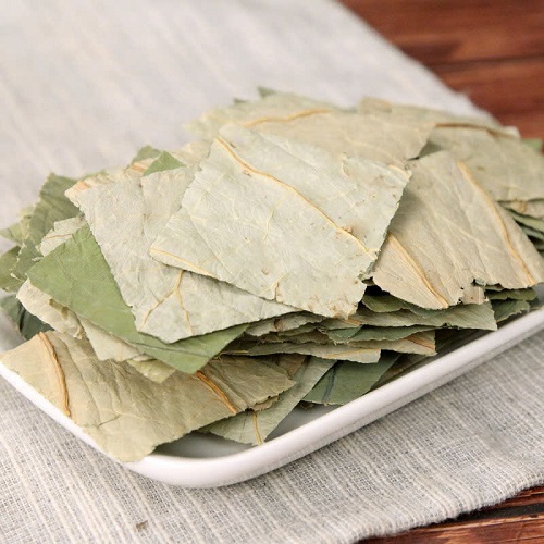 Lá sen khô của Việt Thắng