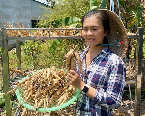 Sâm bố chính chế biến tại nhà