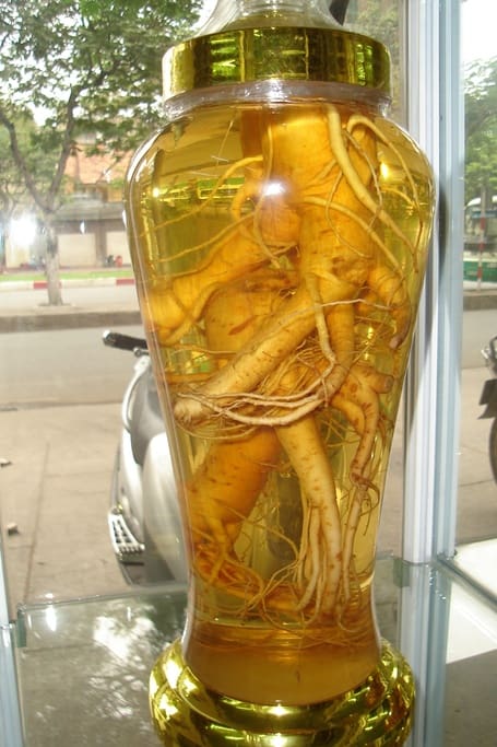 Rượu sâm bồi bổ sức khỏe