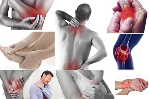 Cải thiện xương khớp từ thảo dược thiên nhiên