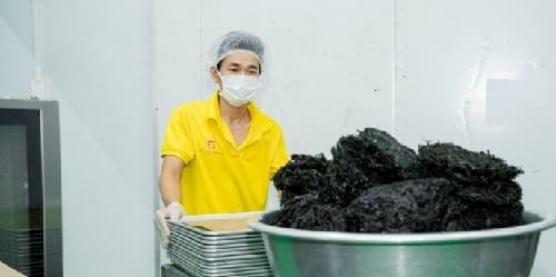 Đặt Mua Sỉ Rong Biển Sấy Khô Tại TP.HCM - Sản Phẩm Của Việt Thắng