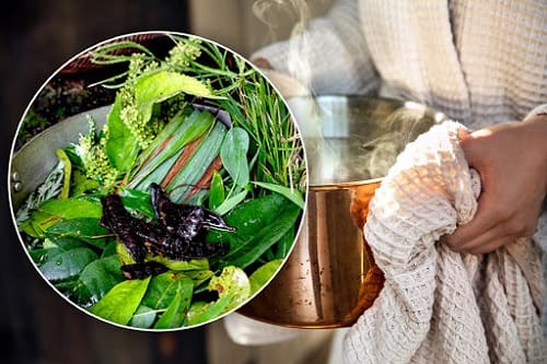 Xông hơi lá hương nhu cải thiện sức khỏe