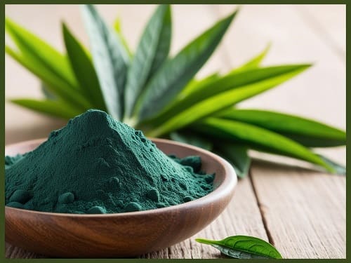 Bột tảo xoắn nguyên chất