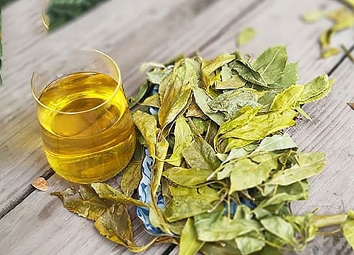 Chăm sóc sức khỏe từ chè dung