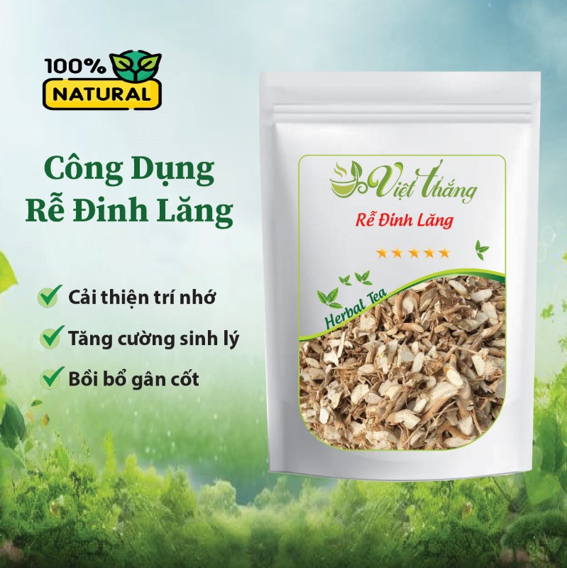 Rễ đinh lăng khô có tác dụng tuyệt vời cho sức khoẻ