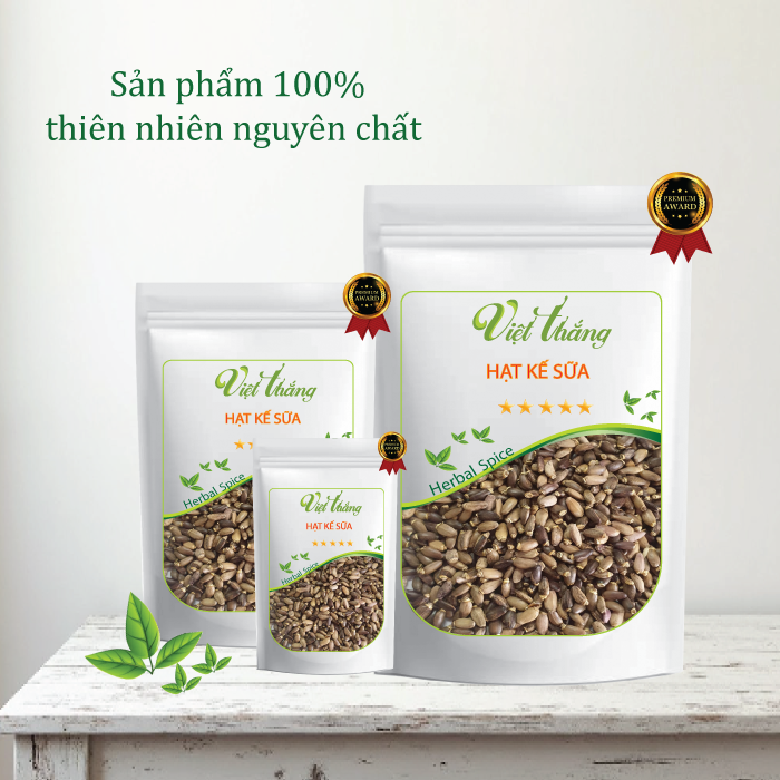 Địa chỉ bán hạt kế sữa uy tín tại TP.HCM