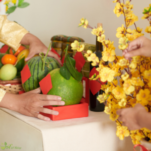 Mâm ngũ quả ngày tết 2026: cách bày truyền thống