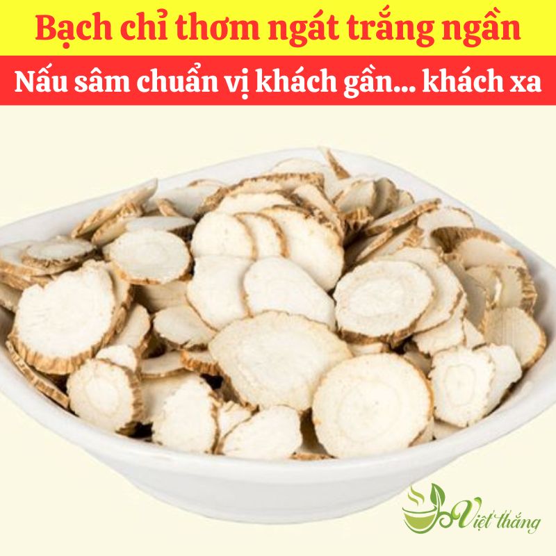 Mua bạch chỉ nguyên liệu nấu sâm