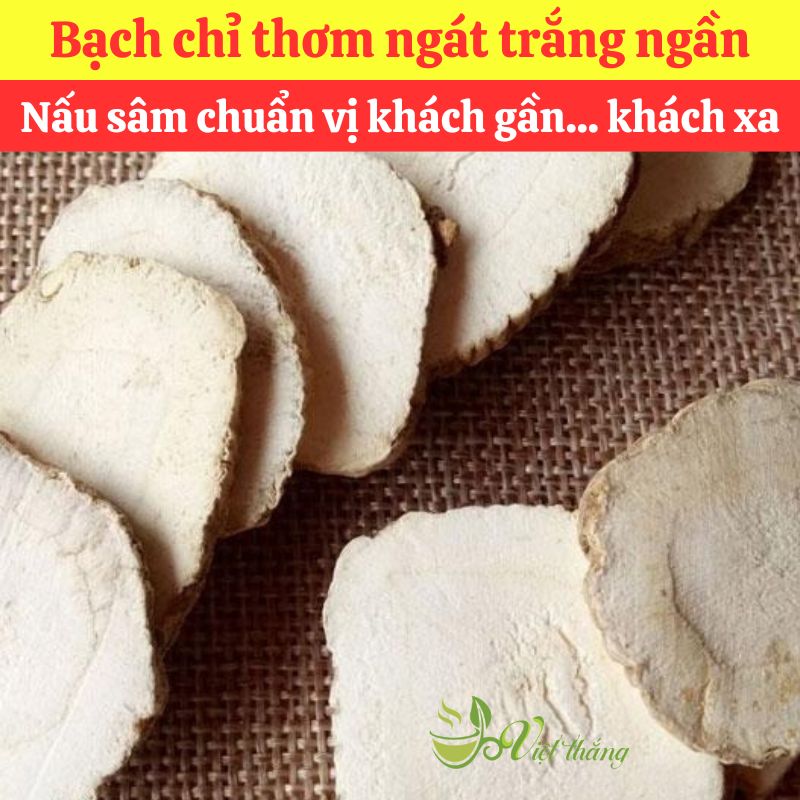 Bạch chỉ nguyên liệu nấu nước sâm tại TPHCM bao nhiêu 1kg?
