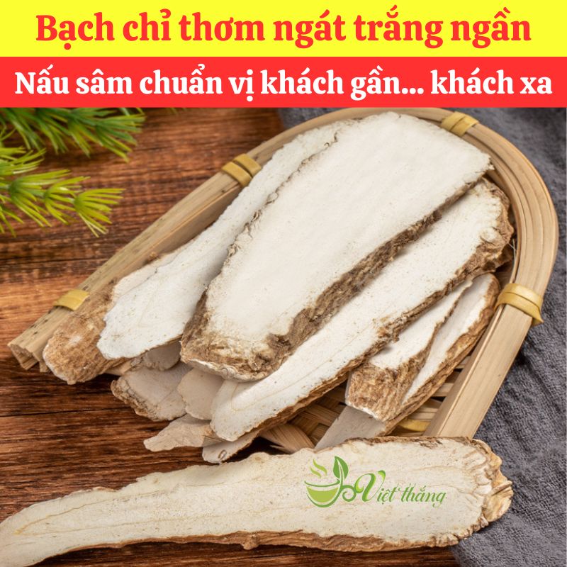 Mua bạch chỉ nguyên liệu nấu nước sâm giá sỉ tại TPHCM