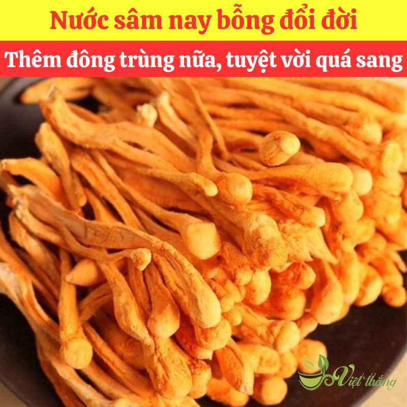 Đông trùng hạ thảo nguyên liệu nấu nước sâm bao nhiêu 1kg?