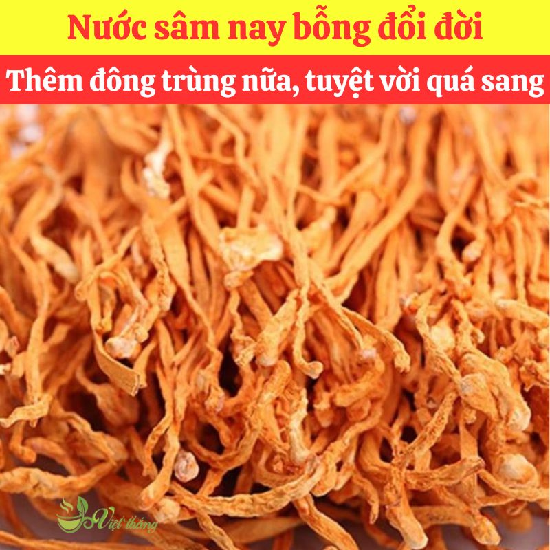 Mua đông trùng hạ thảo nguyên liệu nấu sâm