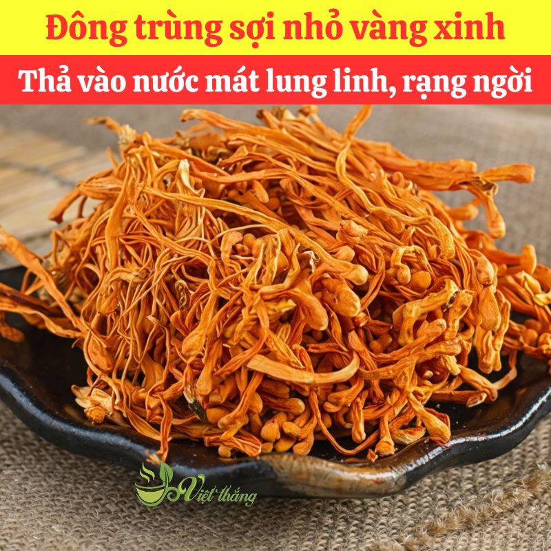 Mua đông trùng nhỏ nguyên liệu nấu nước sâm giá sỉ tại TPHCM