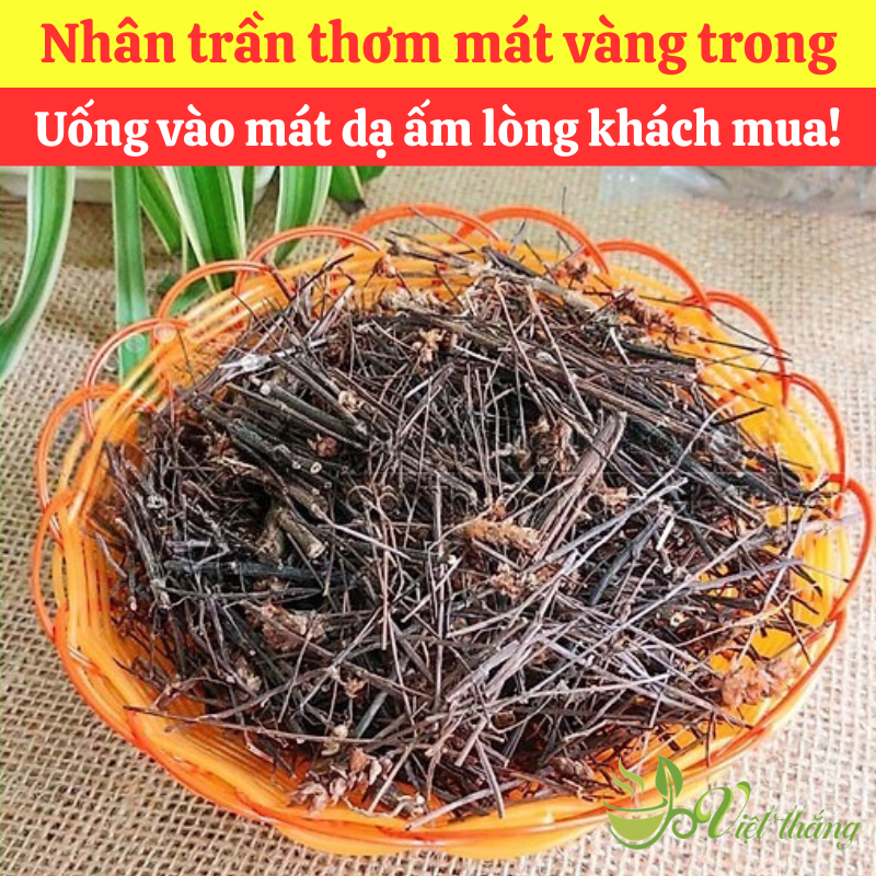 Mua nhân trần nam nguyên liệu nấu nước sâm giá sỉ tại TPHCM