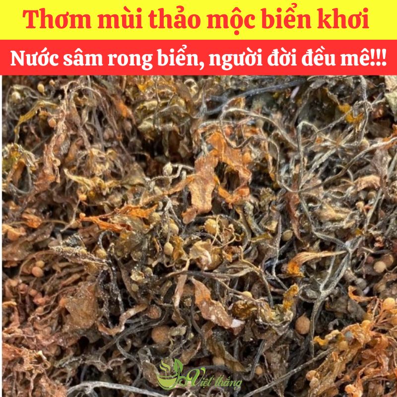 Mua rong mơ nguyên liệu nấu nước sâm giá sỉ tại TPHCM
