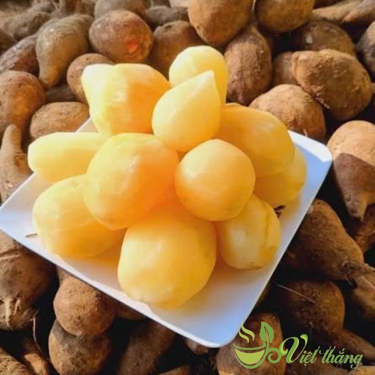 Bí quyết chọn sâm đất