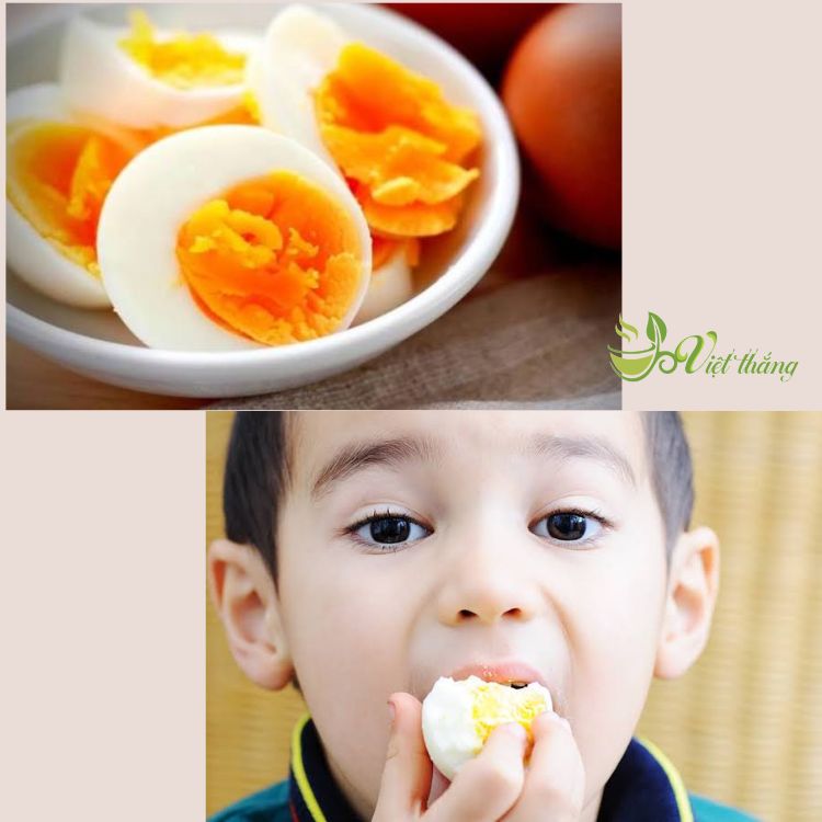 Ăn trứng gà mỗi ngày