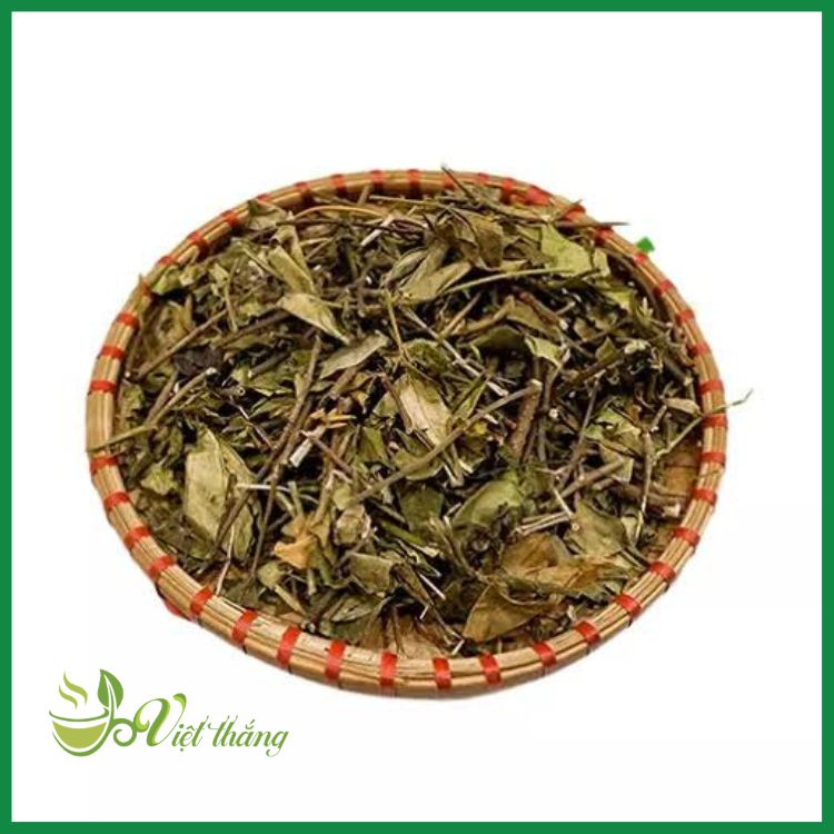Dây thìa canh khô tại Việt Thắng