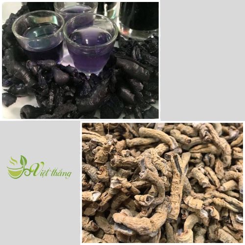 Lưu ý khi sử dụng rượu ba kích tím