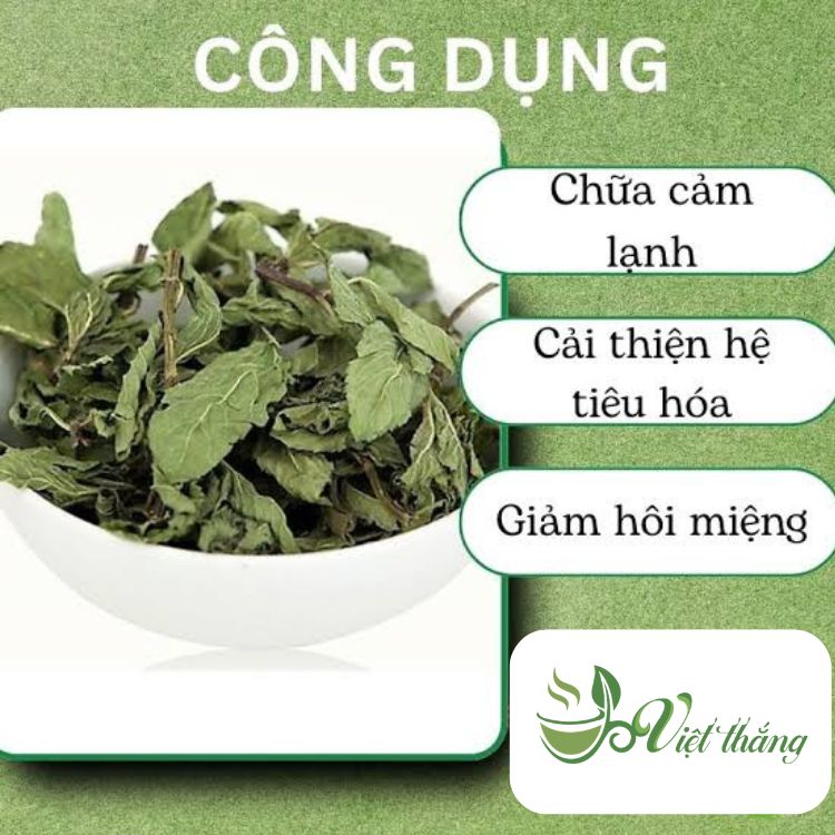 Công dụng của lá bạc hà sấy khô