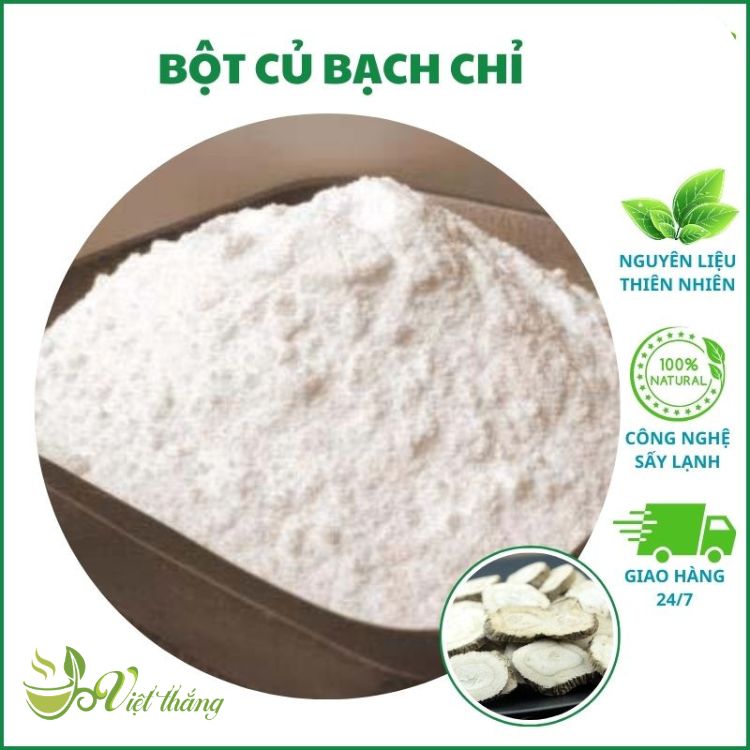 Bột bạch chỉ Việt Thắng