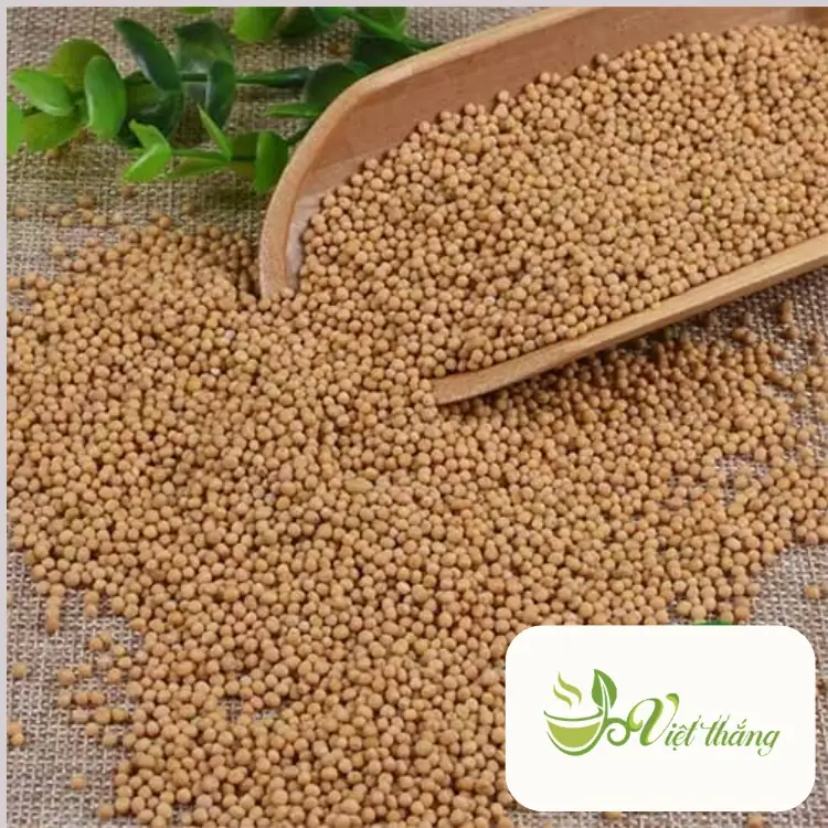 Sử dụng bạch giới tử